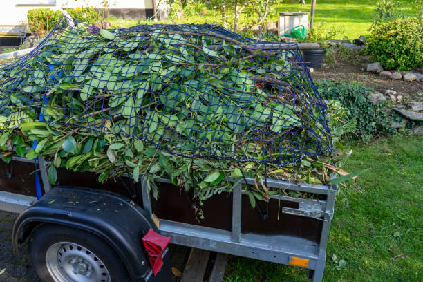 Best Same-Day Junk Removal Services  in Goshen, AR